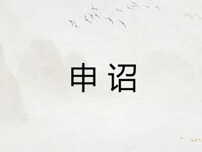 申诏