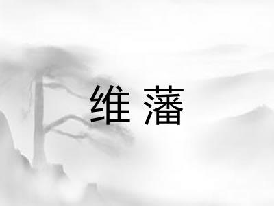 维藩