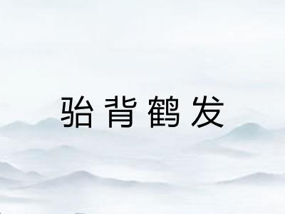 骀背鹤发