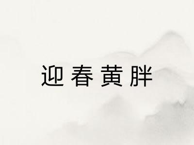 迎春黄胖