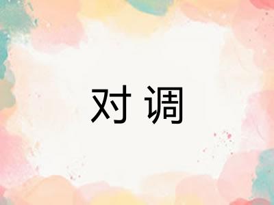 对调
