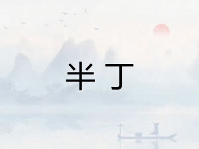 半丁