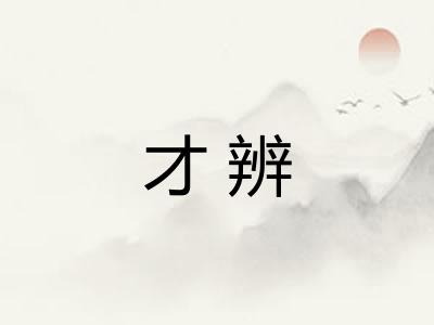 才辨