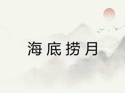 海底捞月
