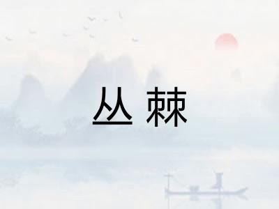 丛棘