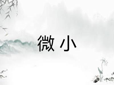 微小 微小