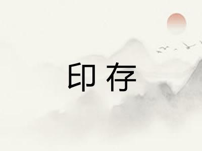 印存