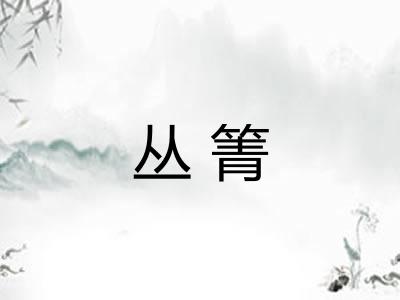 丛箐