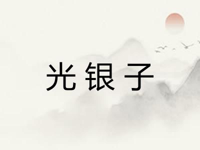 光银子 光银子