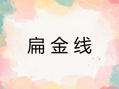 扁金线 扁金线