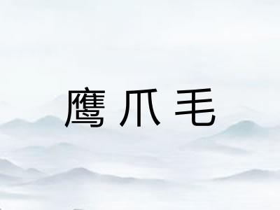 鹰爪毛 鹰爪毛