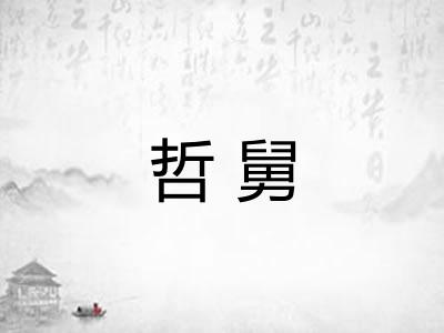哲舅