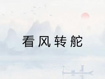 看风转舵