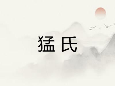 猛氏 猛氏