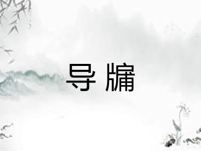 导牖