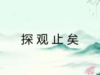 探观止矣 探观止矣