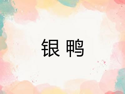 银鸭