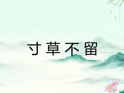 寸草不留 寸草不留