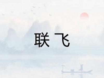 联飞