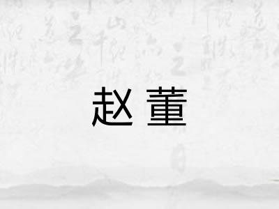 赵董