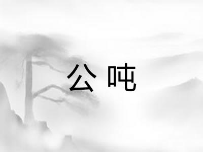 公吨 公吨