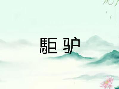 駏驴 駏驴