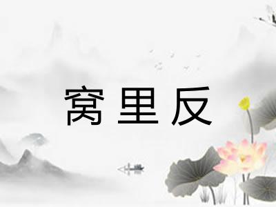 窝里反