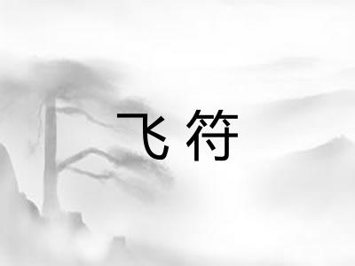 飞符 飞符