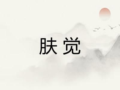 肤觉