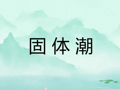 固体潮