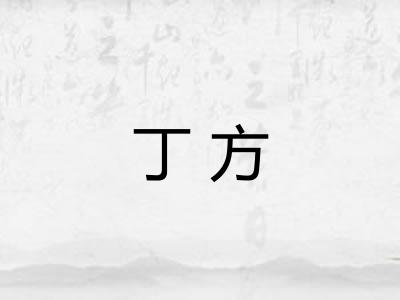 丁方