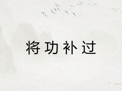 将功补过 将功补过