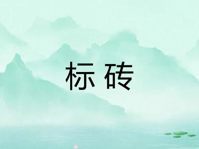 标砖