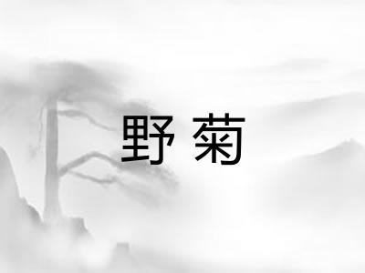 野菊