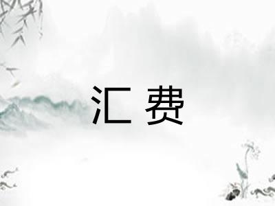 汇费