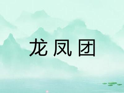 龙凤团 龙凤团