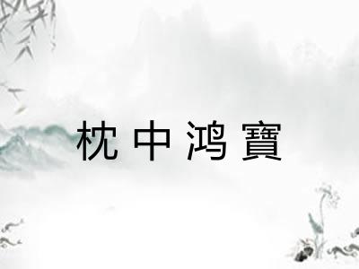 枕中鸿寶