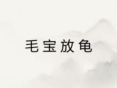 毛宝放龟