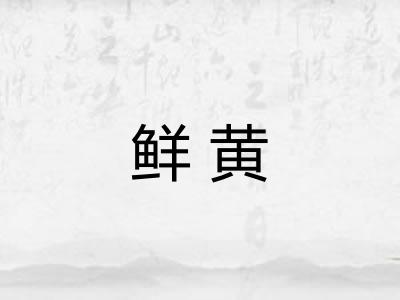 鲜黄 鲜黄