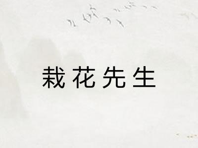 栽花先生