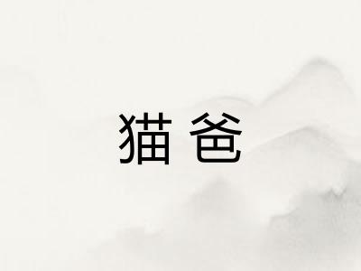 猫爸