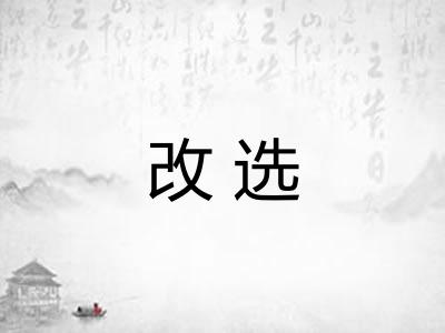 改选