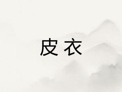 皮衣