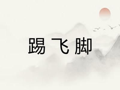 踢飞脚