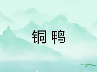 铜鸭