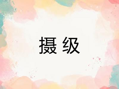 摄级