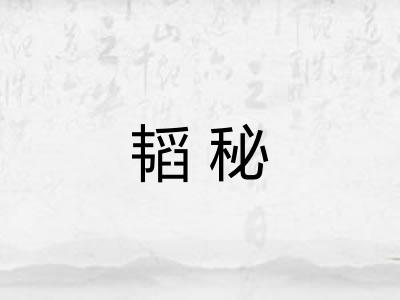 韬秘