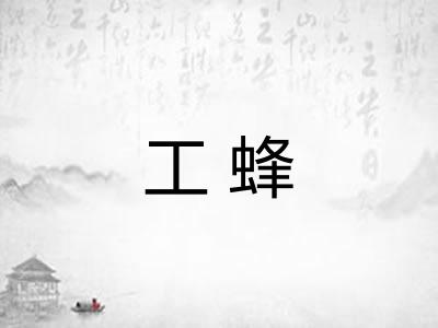 工蜂 工蜂