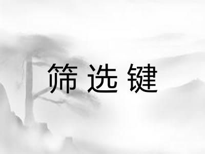 筛选键 筛选键
