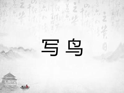 写鸟